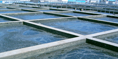 Aerator is not only effective, but also has the characteristics of environmental protection